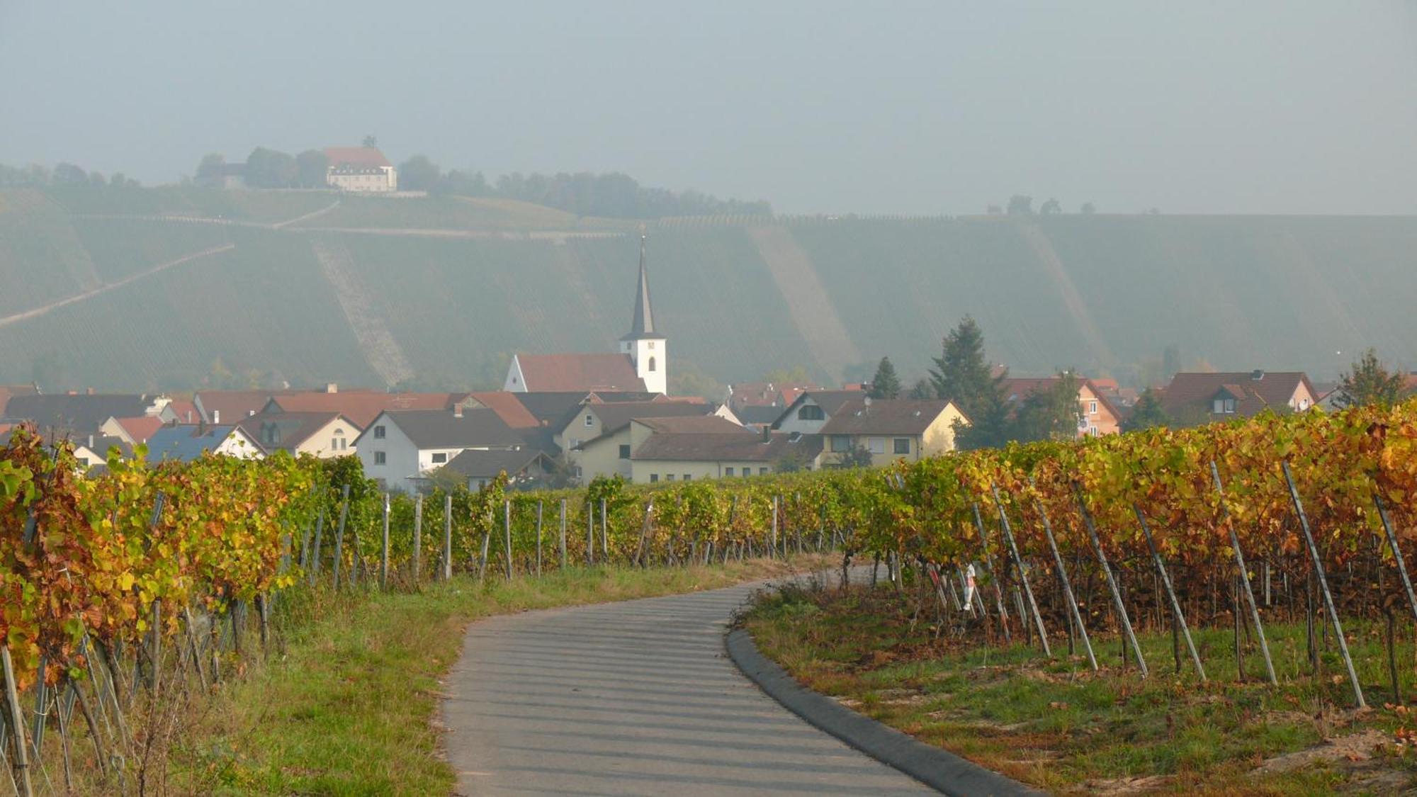 Weingut Herbert Kram Нордхайм Экстерьер фото